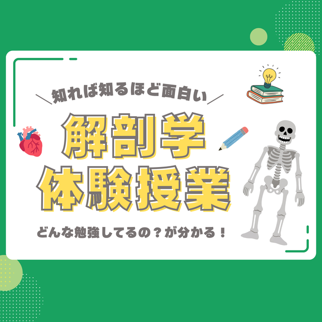 東京柔道整復専門学校 ミニ授業付き！ 学校説明会（解剖学）1