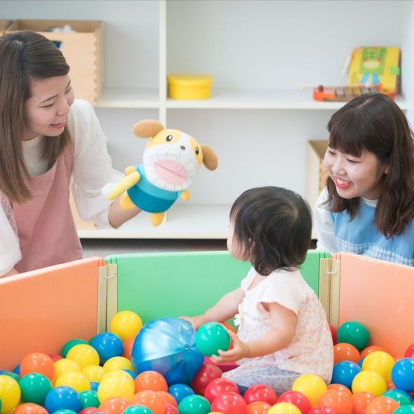 至誠館大学 資料請求 願書請求 学校案内 スタディサプリ 進路