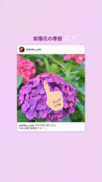 OCカメラサムネイル画像