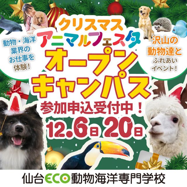 仙台ＥＣＯ動物海洋専門学校 【オープンキャンパス】Xmasプレミアムアニマルフェスタ☆彡1