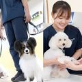 専門学校　福岡ビジョナリーアーツ 【ペット・看護】3専攻よくばり体験（ワンコ）