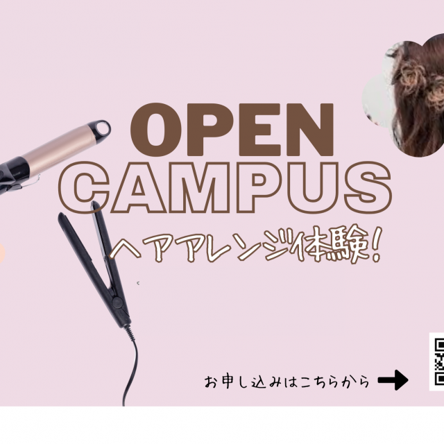 Ｍ．Ｄ．Ｆ．ＢＥＡＵＴＹ　ＣＯＬＬＥＧＥ 【11月3日/月曜日】ヘアアレンジ体験！1
