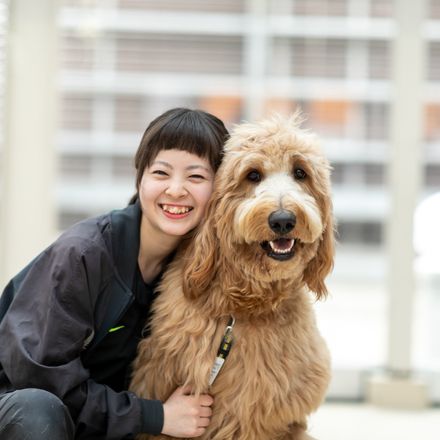 在校生レポート画像