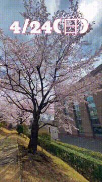 OCカメラサムネイル画像