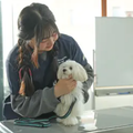 こいぬの健康チェック／専門学校ビジョナリーアーツ