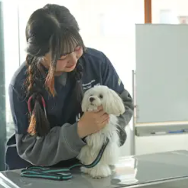 専門学校ビジョナリーアーツ こいぬの健康チェック1