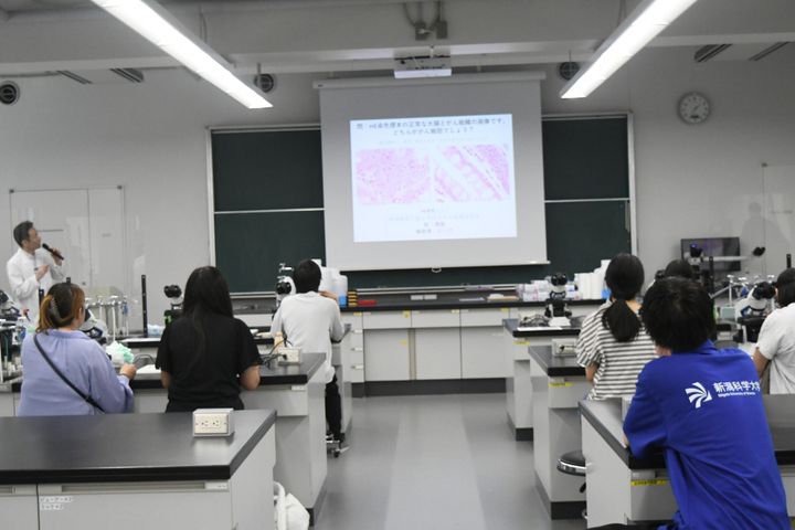 サブ画像