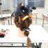 愛媛県美容専門学校 ☆ヘアアレンジ体験orメイク体験☆4