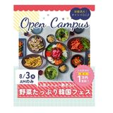 野菜たっぷり　韓国フェス　交通費補助ありの詳細