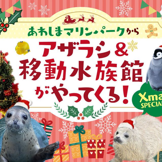 ＴＣＡ東京ＥＣＯ動物海洋専門学校 あわしまマリンパークからアザラシ＆移動水族館がやってくる！1