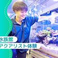 水族館・アクアリスト体験／大阪ＥＣＯ動物海洋専門学校