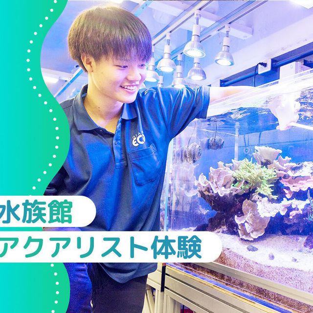 大阪ＥＣＯ動物海洋専門学校 水族館・アクアリスト体験1