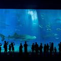 専門学校　東京テクニカルカレッジ 【環境インフラ】特別見学ツアー！水族館へGO！