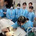 専門学校　ちば愛犬動物フラワー学園 【動物看護】ここでしかできない麻酔実習体験！～歯石除去体験～
