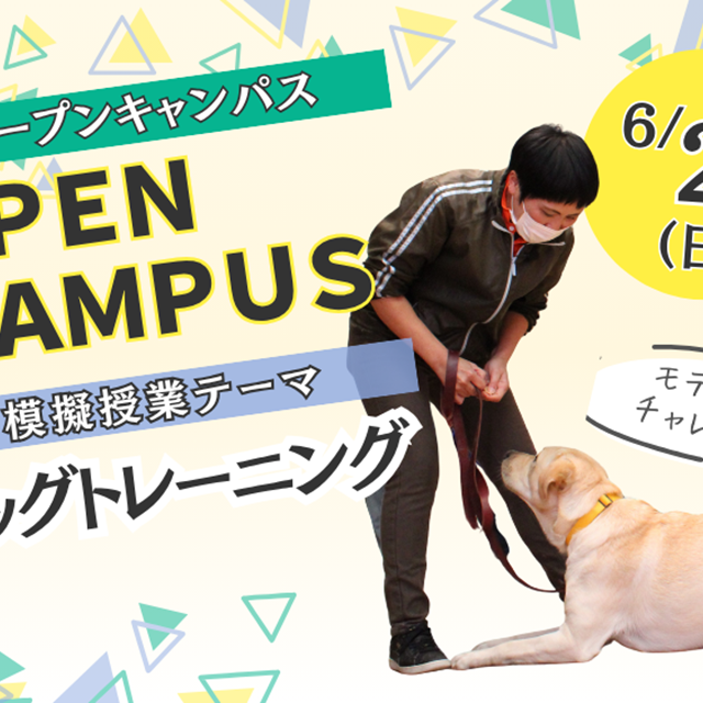 ヤマザキ動物専門学校 専門学校　オープンキャンパス（半日コース）1