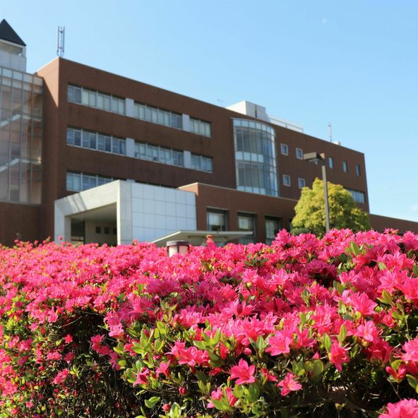 宇部フロンティア大学 資料請求 願書請求 学校案内 スタディサプリ 進路