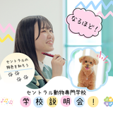 学校説明会の詳細