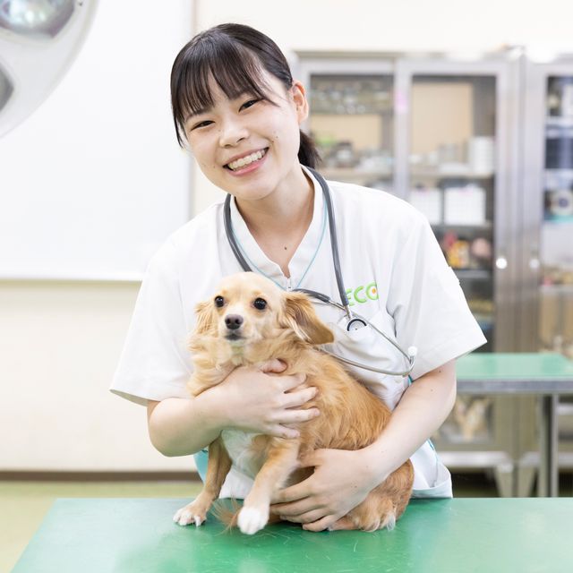 大阪ＥＣＯ動物海洋専門学校 動物看護師体験1