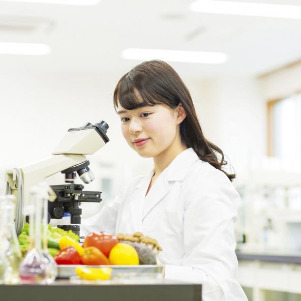 広島女学院大学 資料請求 願書請求 学校案内 スタディサプリ 進路