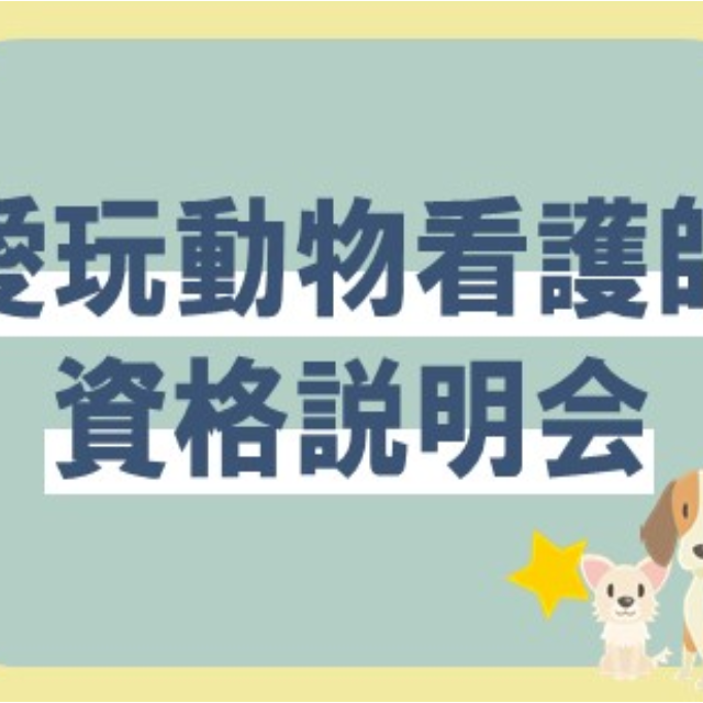 大阪ビジネスカレッジ専門学校 愛玩動物看護師資格 説明会1