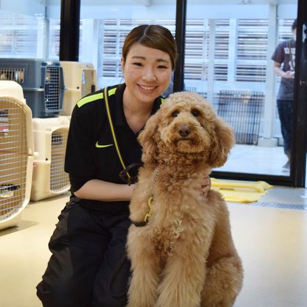 在校生レポート画像