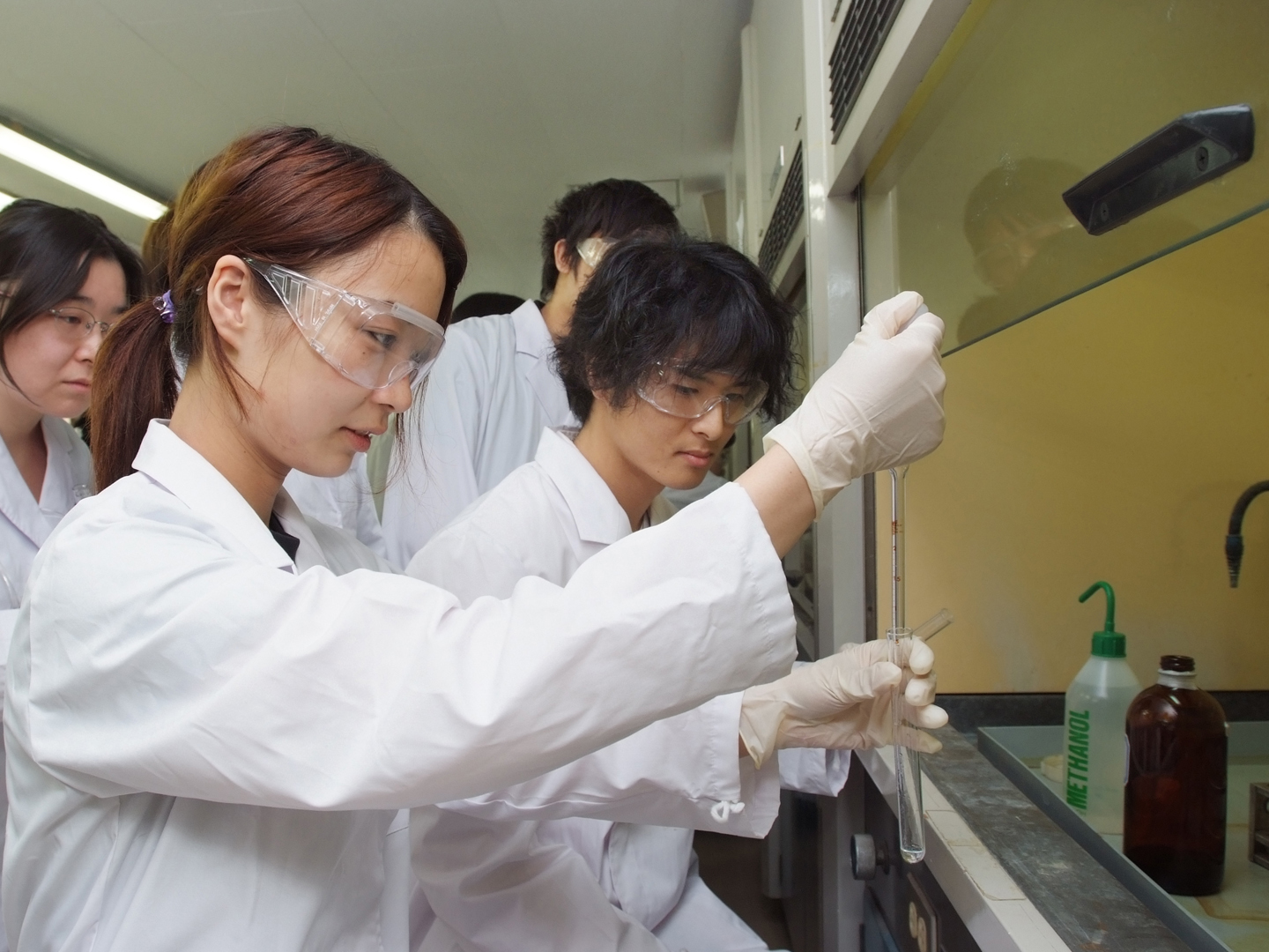 第 一 薬科 大学 偏差 値