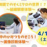 【臨床検査技師/2時間】学校の雰囲気を知ろう（保護者大歓迎）の詳細