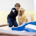 専門学校ビジョナリーアーツ 災害救助犬のトレーニングに挑戦！