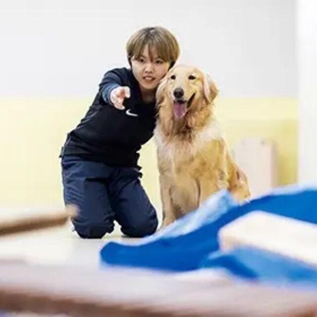 専門学校ビジョナリーアーツ 災害救助犬のトレーニングに挑戦!1
