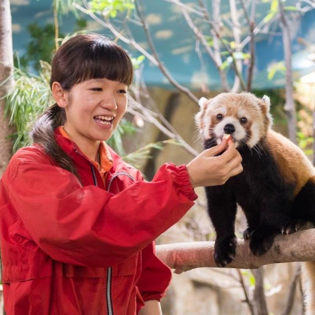 仙台ECO動物海洋専門学校 動物園・動物飼育のお仕事体験1