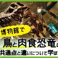 ＴＣＡ東京ＥＣＯ動物海洋専門学校 博物館で鳥と肉食恐竜の共通点と違いについて学ぼう