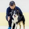専門学校ビジョナリーアーツ 【お仕事体験DAY】警察犬訓練士のお仕事体験