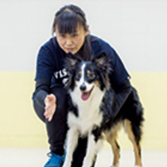 専門学校ビジョナリーアーツ 【お仕事体験DAY】警察犬訓練士のお仕事体験1