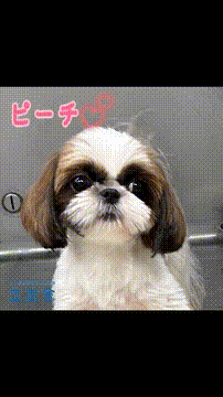 OCカメラサムネイル画像