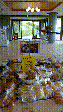 OCカメラサムネイル画像