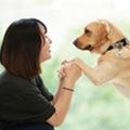 専門学校ビジョナリーアーツ トレーニングを学んでワンコと仲良くなろう！