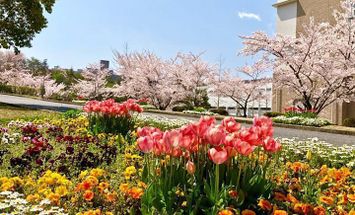 広島修道大学のブログインフォ一覧 58 スタディサプリ 進路