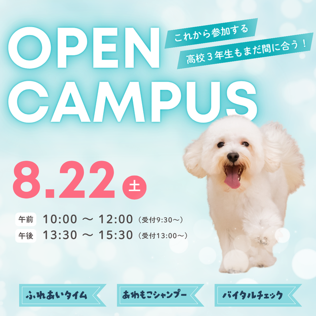 新潟ペット動物専門学校 【高校3年生もまだ間に合う！】Petsのオープンキャンパス1