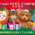 ヤマザキ動物専門学校 X'masオープンキャンパス