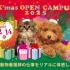 ヤマザキ動物専門学校 X'masオープンキャンパス1