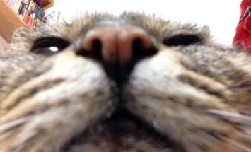 専門学校 千葉デザイナー学院のブログインフォ一覧（27）【スタディ 