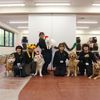 ＴＣＡ東京ＥＣＯ動物海洋専門学校 ドッグフェス！