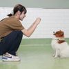 専門学校ビジョナリーアーツ こいぬと一緒に！パピーパーティ！