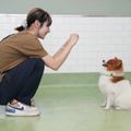 専門学校ビジョナリーアーツ こいぬと一緒に！パピーパーティ！