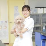 学校説明会の詳細