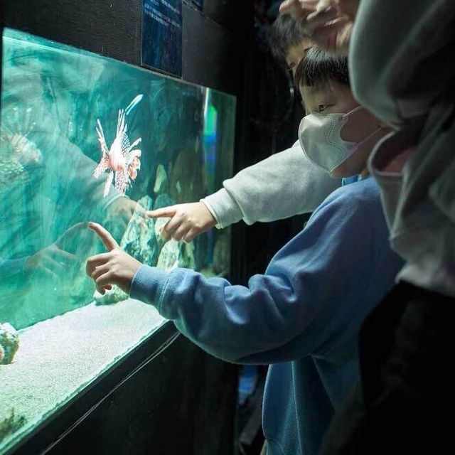 日本さかな専門学校 【特別開催】学生プロデュースのミニ水族館！ウオフェス開催1