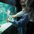 日本さかな専門学校 【特別開催】学生プロデュースのミニ水族館！ウオフェス開催1