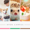中央動物総合専門学校 未来の動物のプロフェッショナルへ！オープンキャンパス