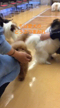 OCカメラサムネイル画像