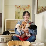 【ペットショップ・飼育】犬の「美形」のポイントを知ろう！の詳細